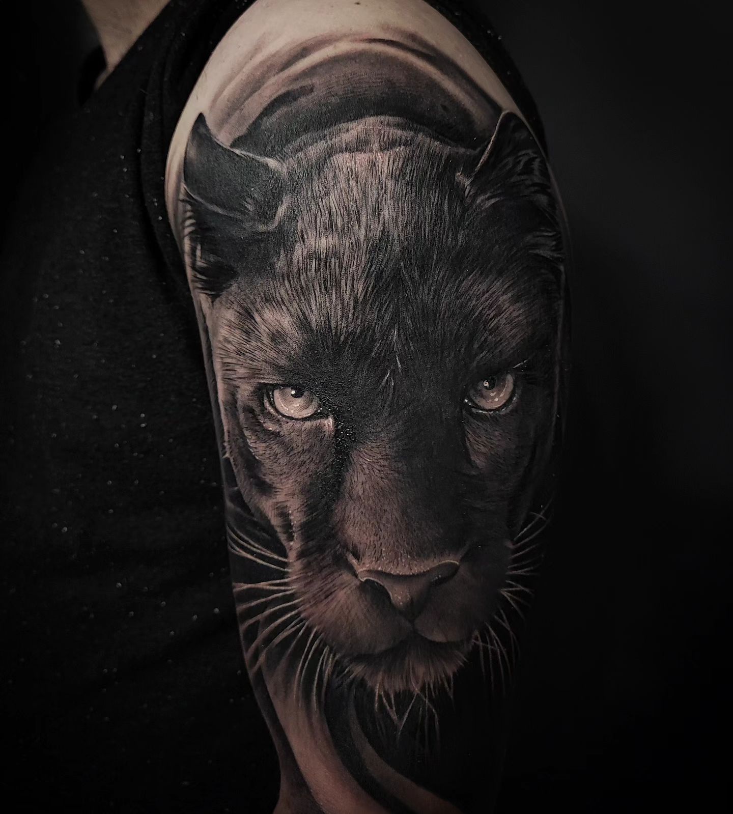 Tatouage réaliste animalier – salon de tatouage La Londe-les-Maures 83
