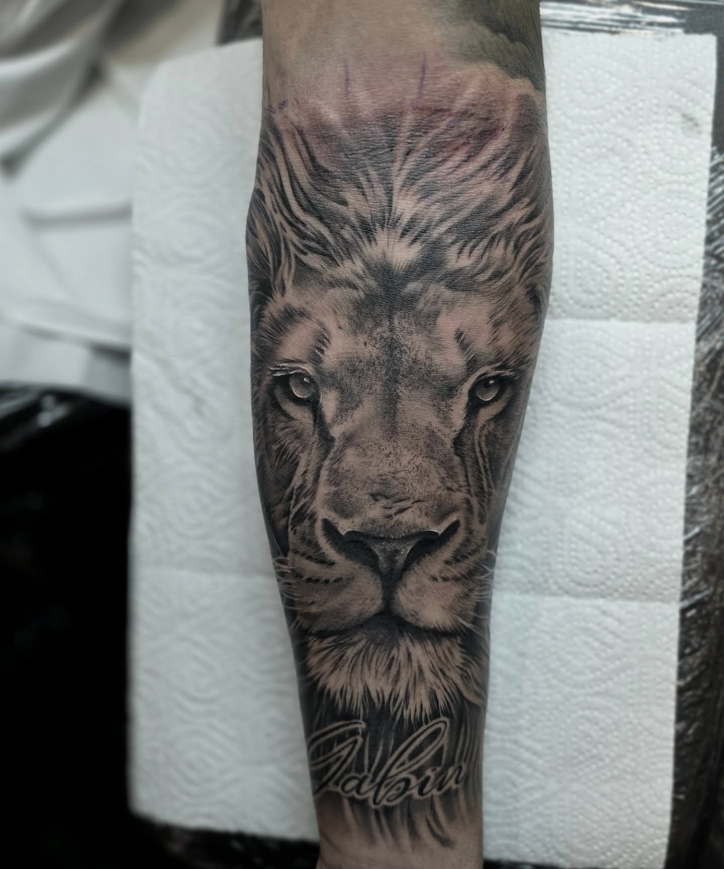 Tatouage réaliste lion - Salon de tatouage var